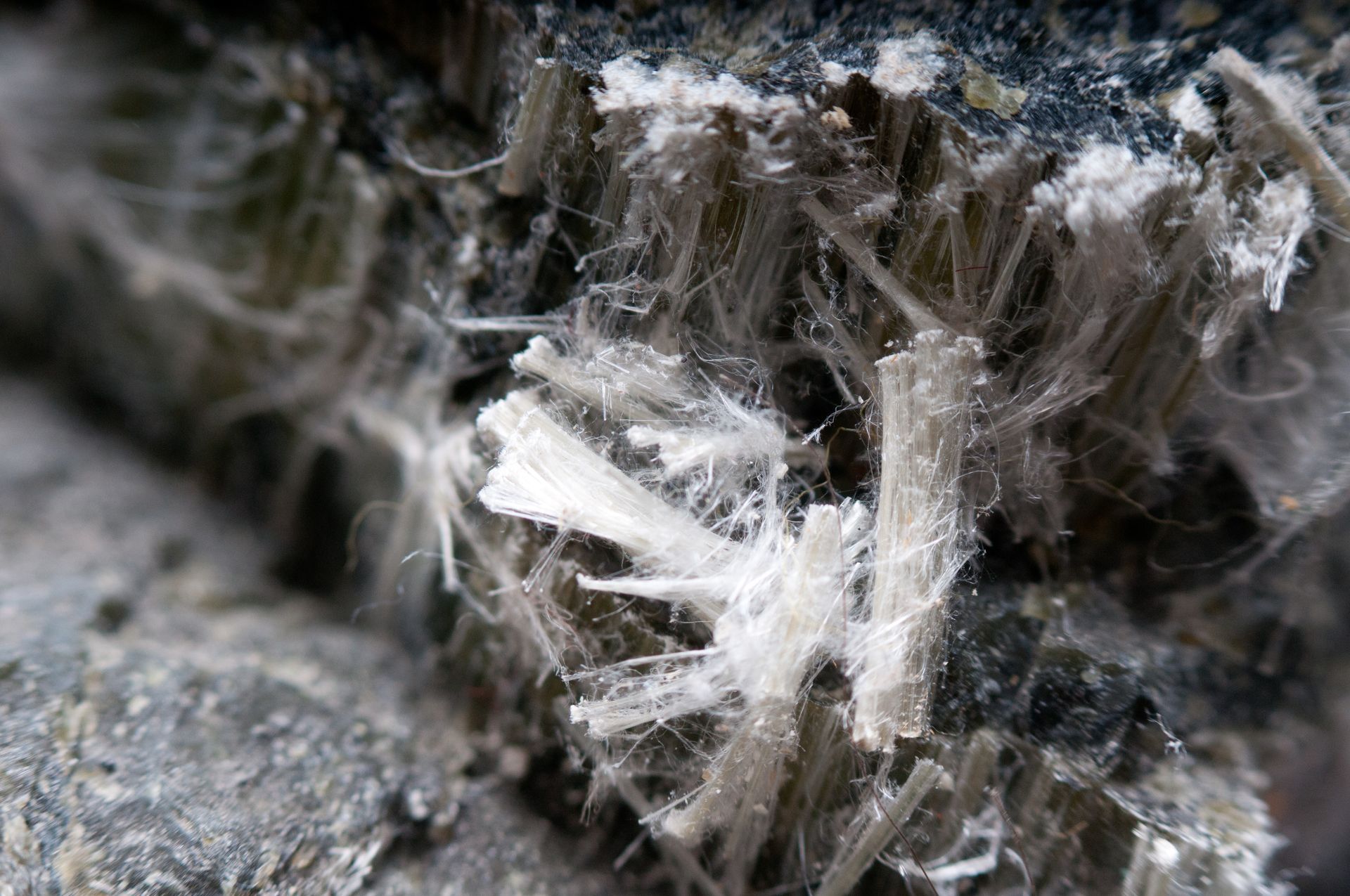 Gros plan de minéraux d’amiante gris et fibreux intégrés dans un matériau plus foncé, semblable à de la roche.