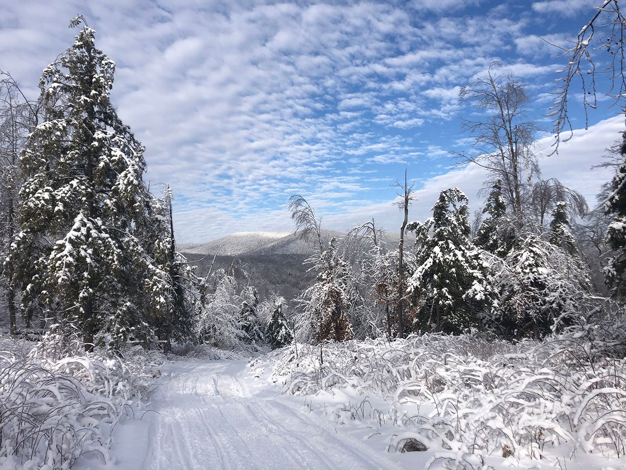 snowy road