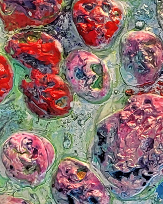Detail van een werk uit de Oesterdam serie.