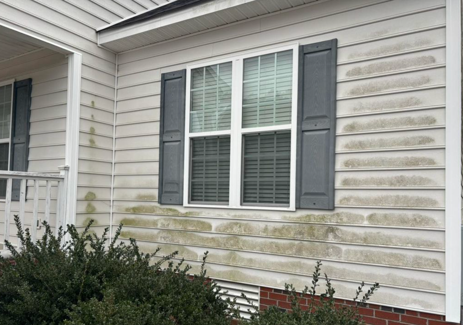 White house siding with green algae growth near a window and shutters.