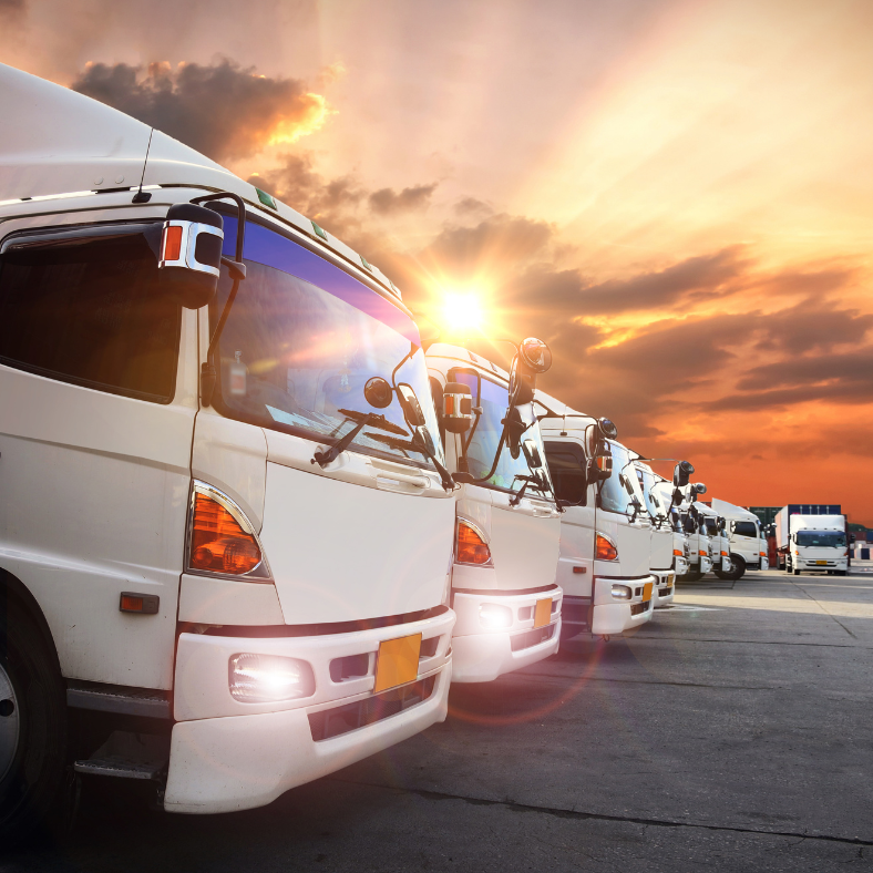 White semi-trucks parked in a row, silhouetted by a sunset with clouds.