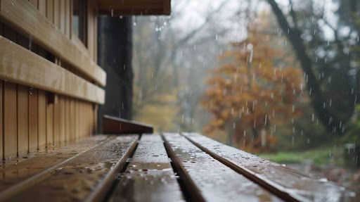 Rain falling on a wooden bench, with a blurred background of autumn trees.