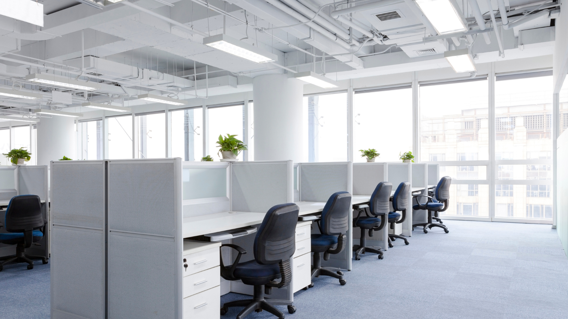 Commercial Cleaning