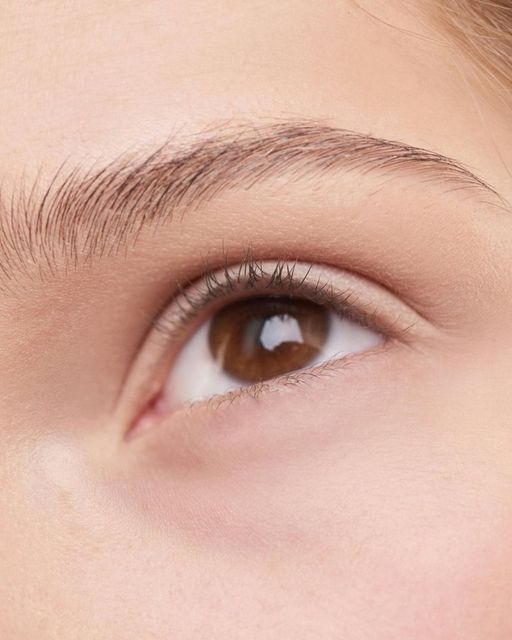 Close-up of a brown eye with a neatly groomed eyebrow and smooth skin