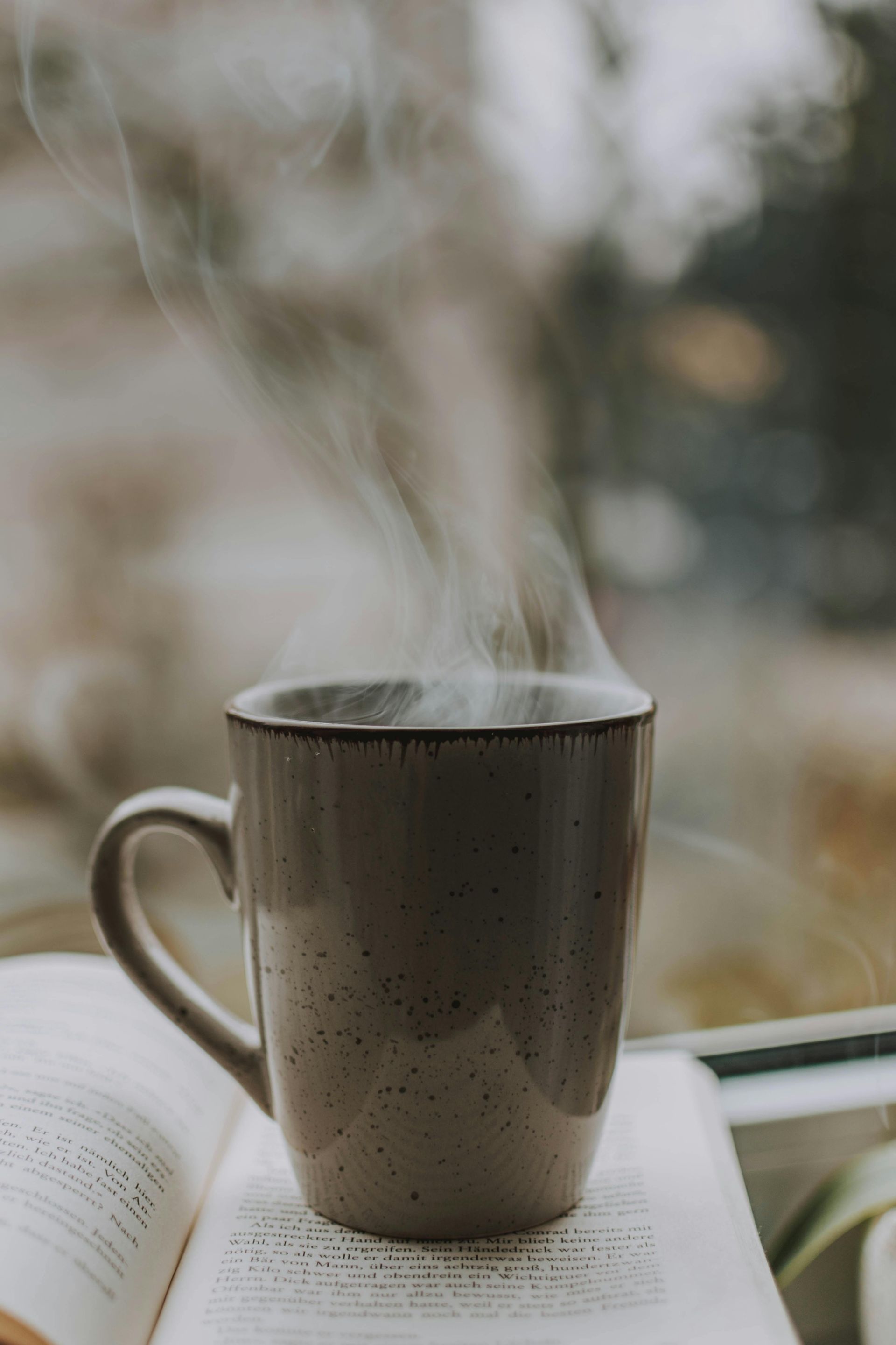 Steaming mug of coffee sits atop an open book by a window.