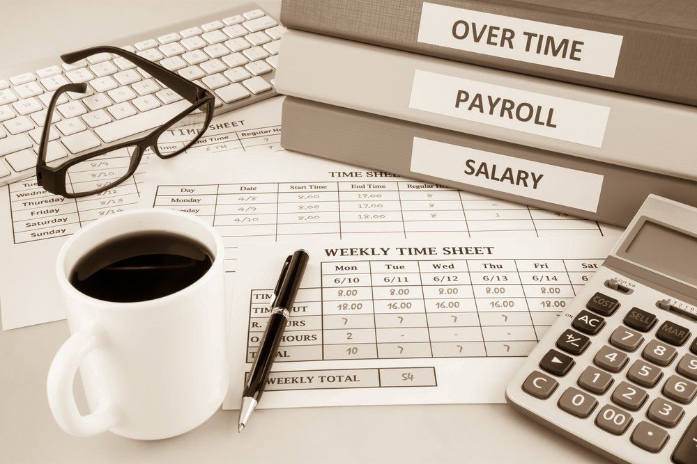 Payroll Folders — Payroll Services in Hamlyn Terrace, NSW