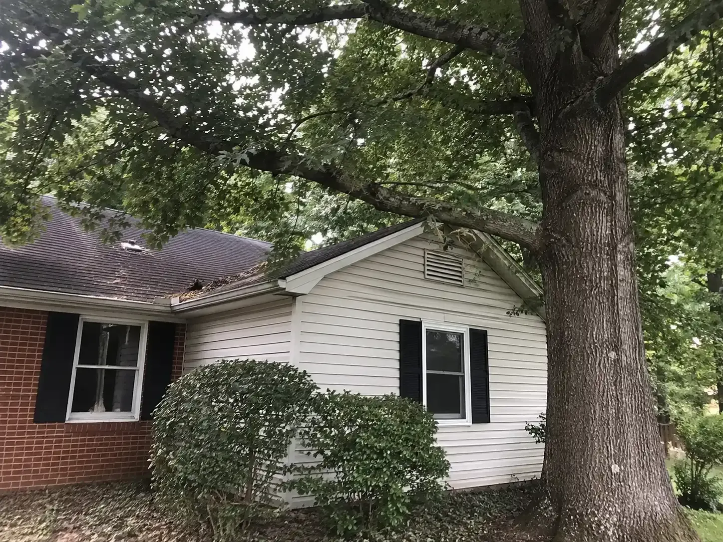 Suburban house with white siding, brick side, and a large tree close to house in the front yard