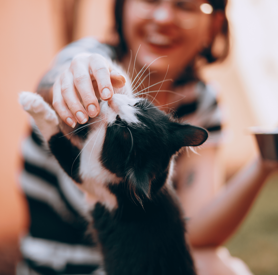 A woman is petting a black and white cat