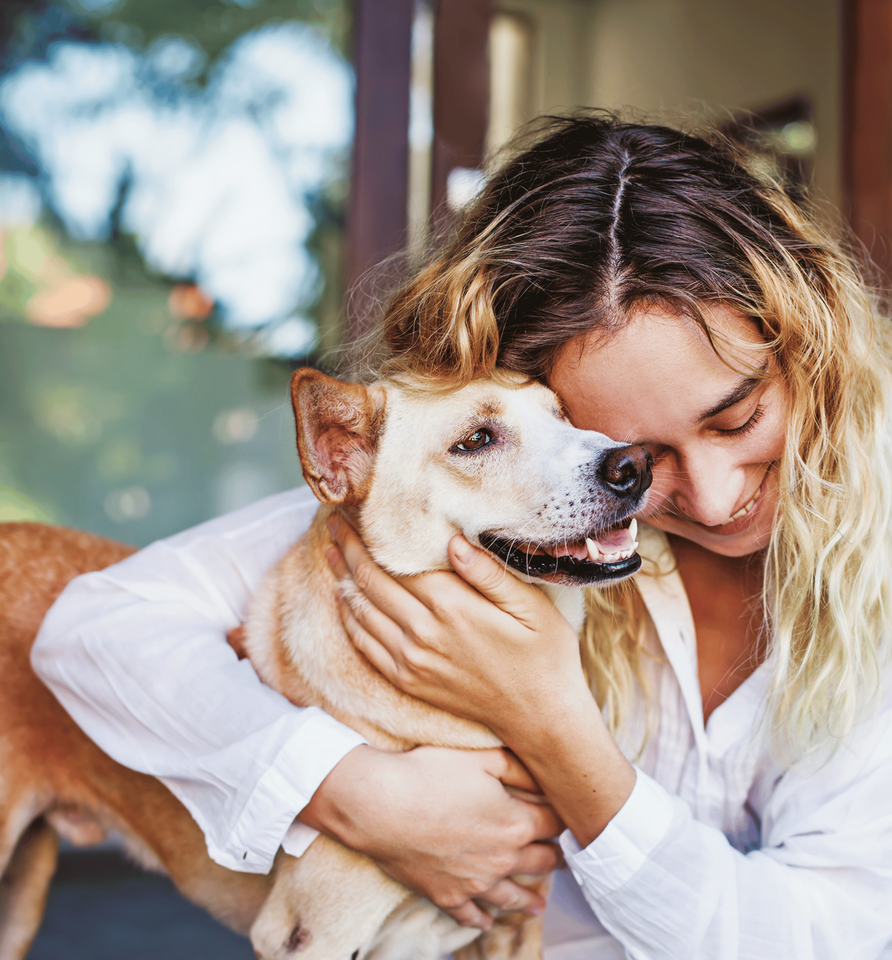 A woman is holding a brown dog in her arms.