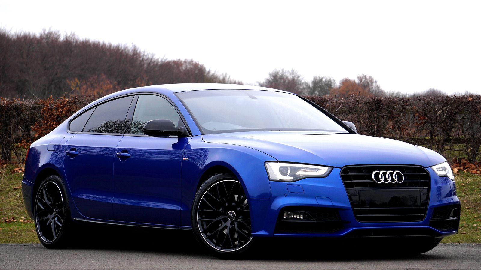 Blue Audi A5 sedan on a paved road with black wheels, set against a backdrop of trees and bushes.