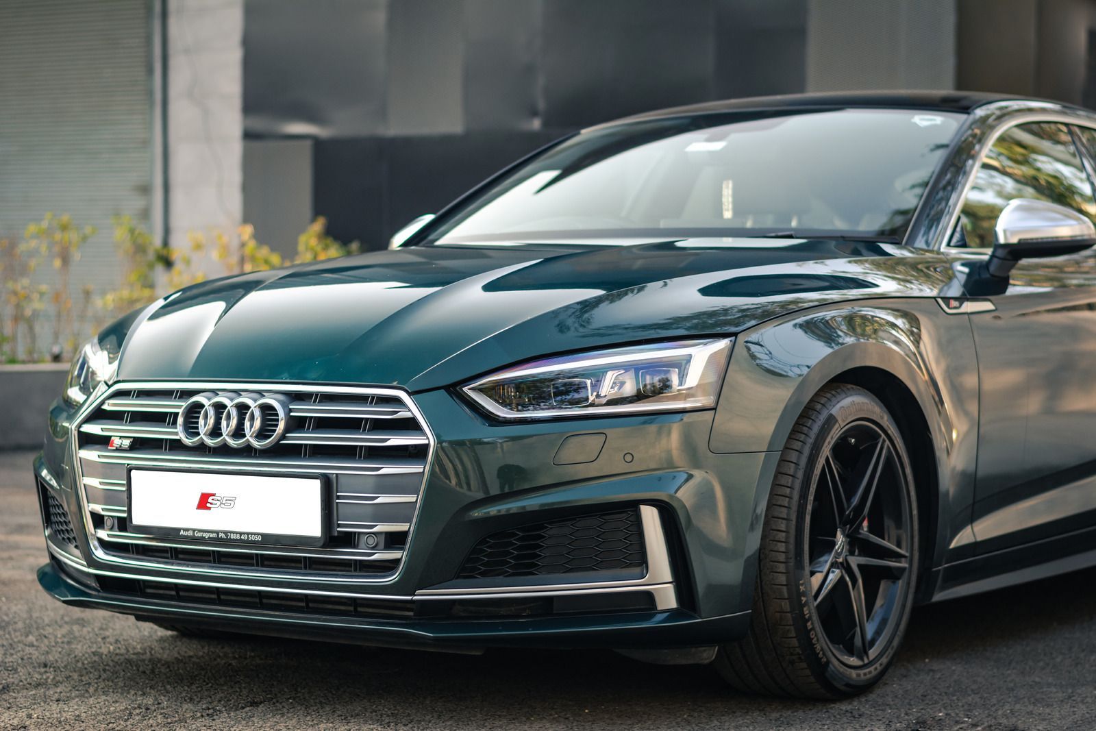 Green Audi S5 coupe parked in front of a building; black wheels.