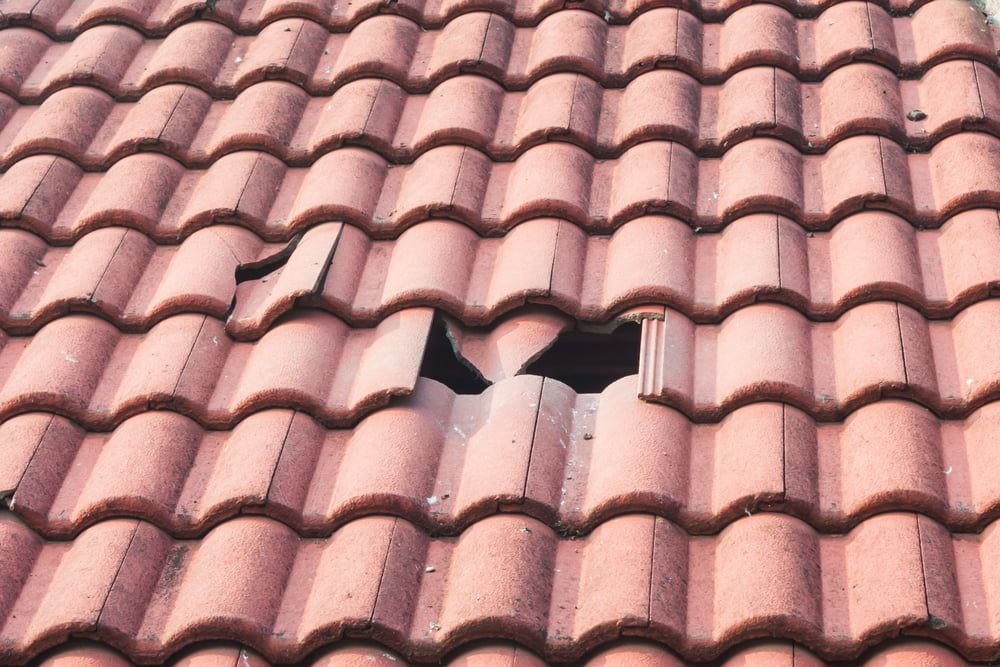 A Close Up of a Roof With a Hole in It — Roof Restoration Masters In Morisset Park, NSW