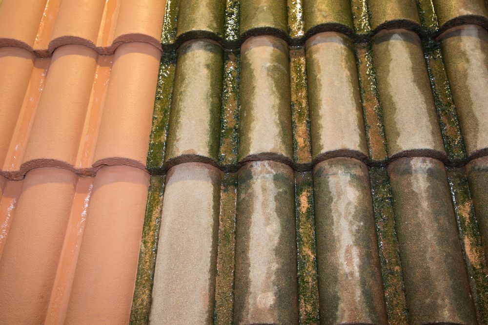 A Close Up of a Roof Tile Before and After Being Cleaned — Roof Restoration Masters In Valentine, NSW