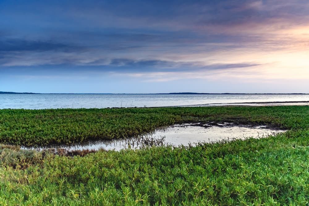There is a Small Pond in the Middle of the Grass Near the Water — Roof Restoration Masters In Chittaway Bay, NSW