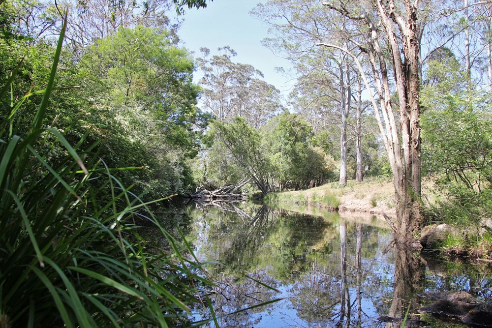 A River Surrounded by Trees and Grass — Roof Restoration Masters In Cooranbong, NSW