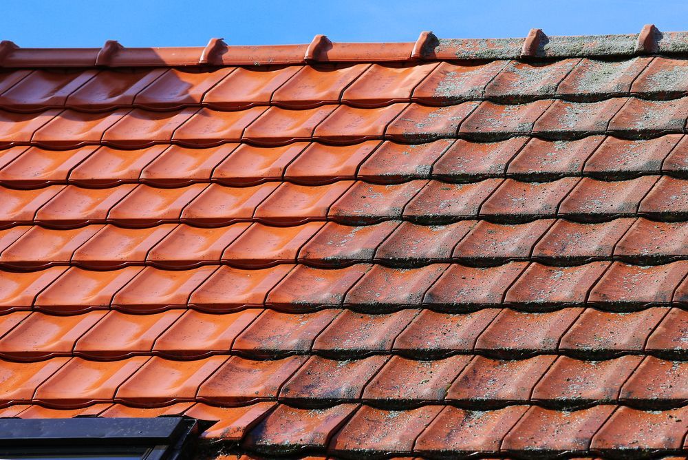 A Close Up of a Red Tiled Roof — Roof Restoration Masters In Gorokan, NSW