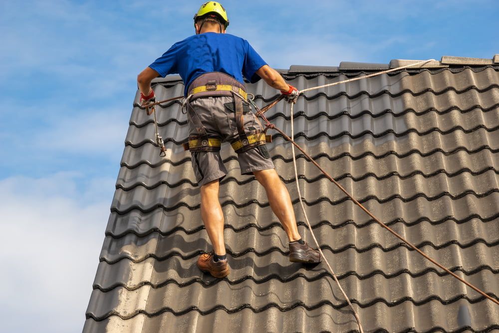 A Man Climbing a Roof With a Rope is Painting the Roof — Roof Restoration Masters In Central Coast, NSW
