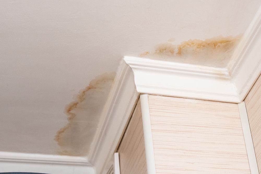 A Corner of a Ceiling With a Stain on It — Roof Restoration Masters In Cooranbong, NSW