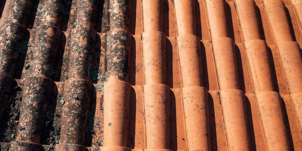 A Close Up of a Roof Tile Before and After Being Cleaned — Roof Restoration Masters In Gosford, NSW