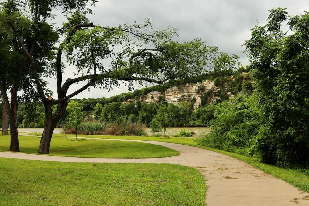 A Dirt Path in a Park With Trees on Both Sides — Roof Restoration Masters In Cameron Park, NSW