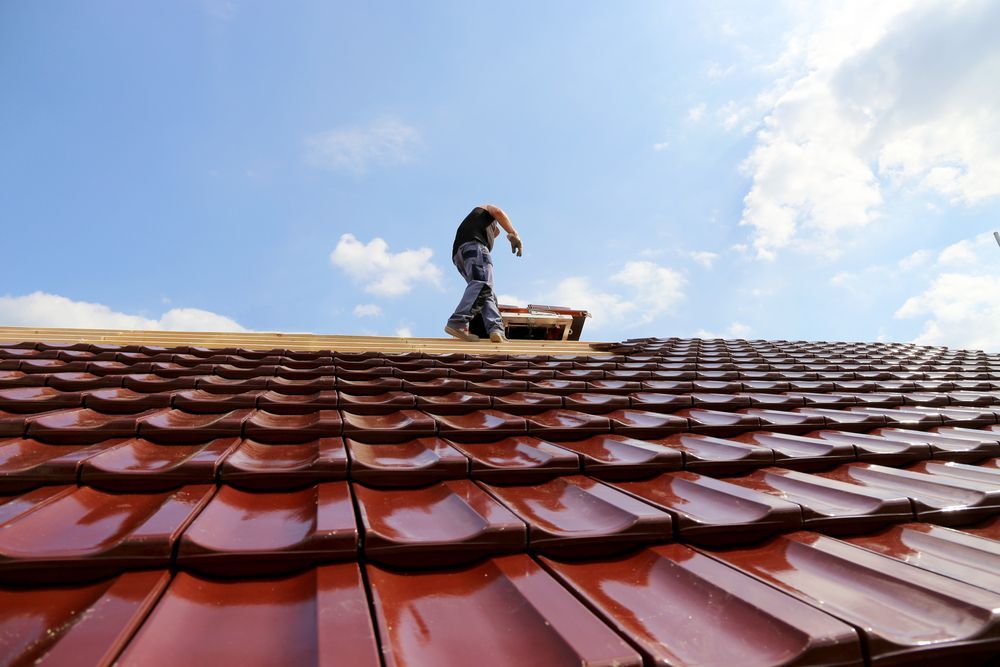 A Man Working on a Ladder on Top of a Tiled Roof — Roof Restoration Masters In Bonnells Bay, NSW
