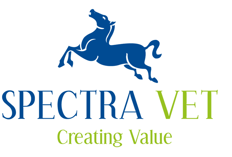 company logo 12