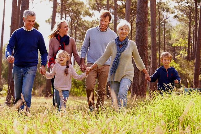 A family is walking through a forest holding hands.