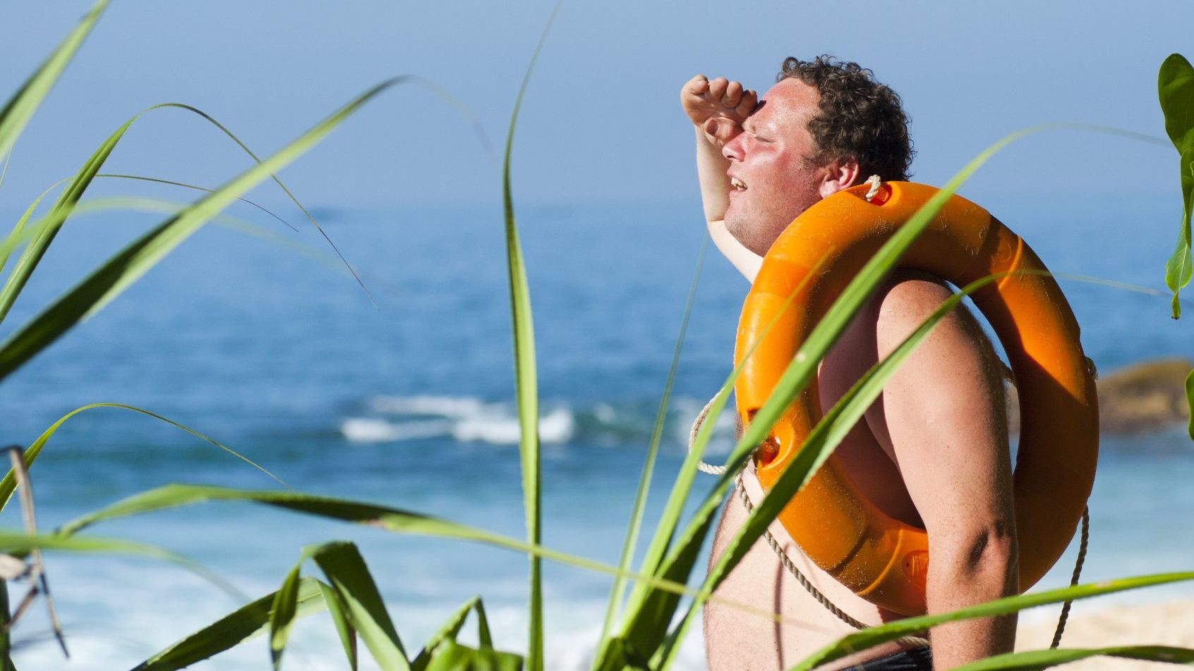 What makes a website search engine friendly?