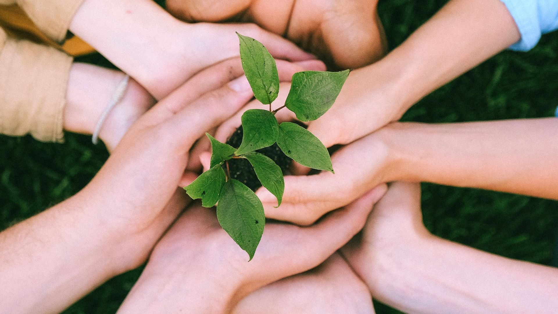 Empower Your Non-Profit with LaunchCMS: The Perfect Website Builder for Your Cause