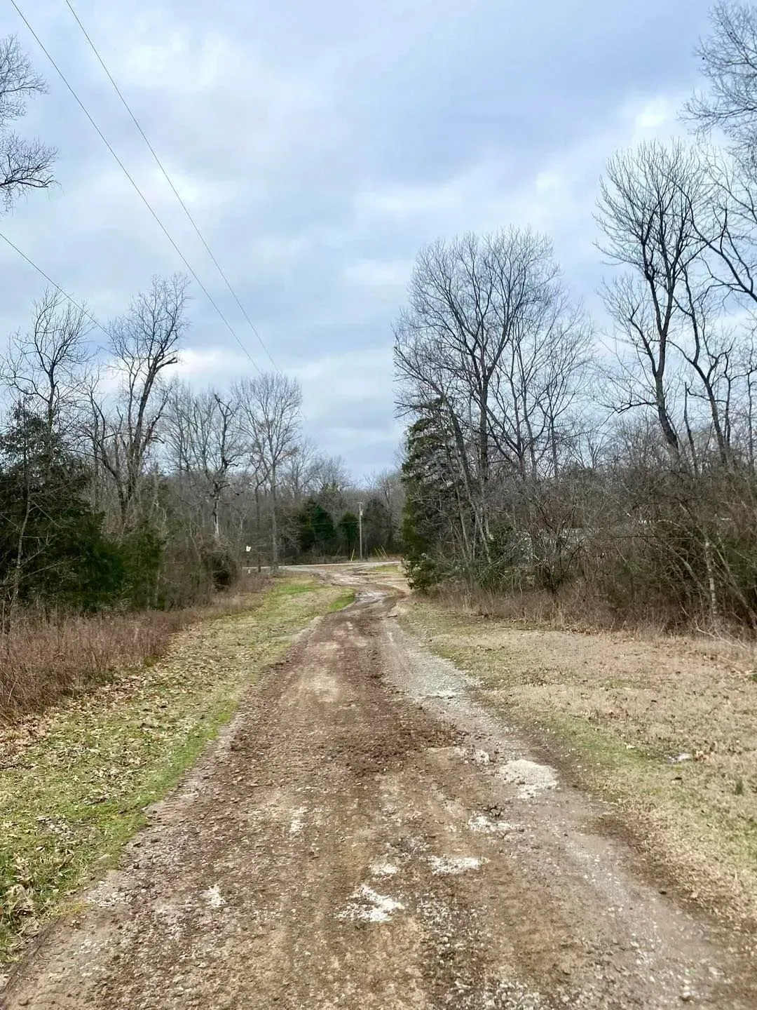 Dirt road through leafless trees under a cloudy sky in a rural area