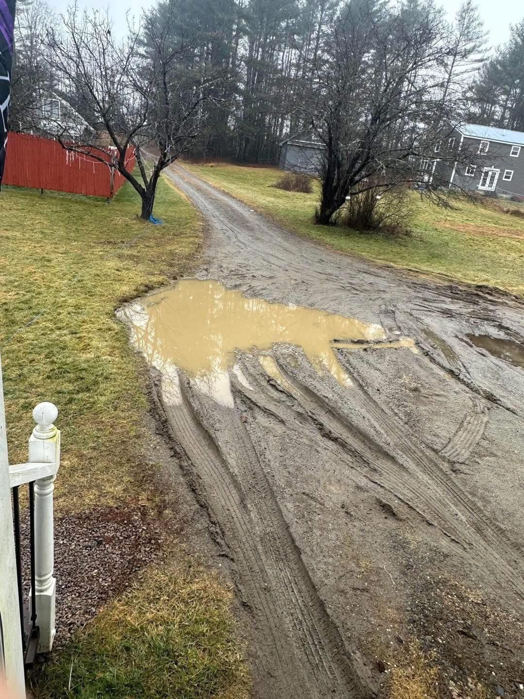 Muddy rural driveway with large puddles after rain, curving past trees and a red fence.