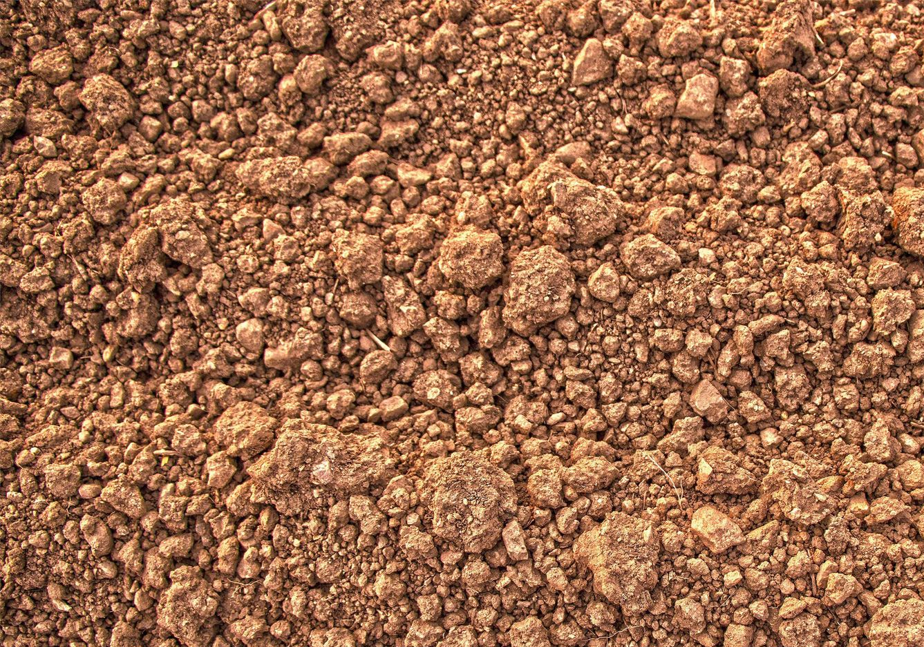 Soil Surface in x