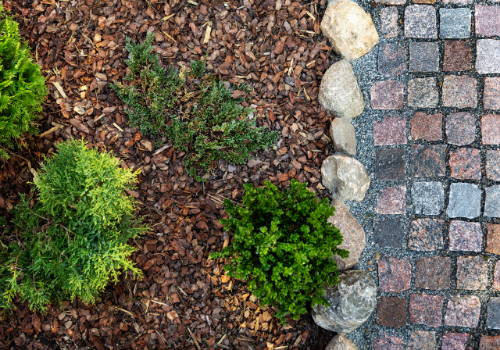 A garden border with green shrubs, mulch, rocks, and a stone paver walkway.