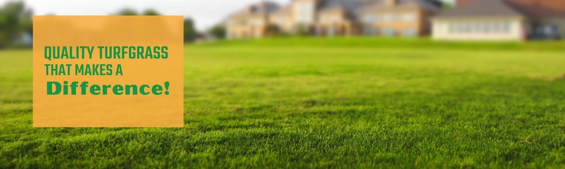 Green lawn with orange sign reading “QUALITY TURFGRASS THAT MAKES A Difference!”