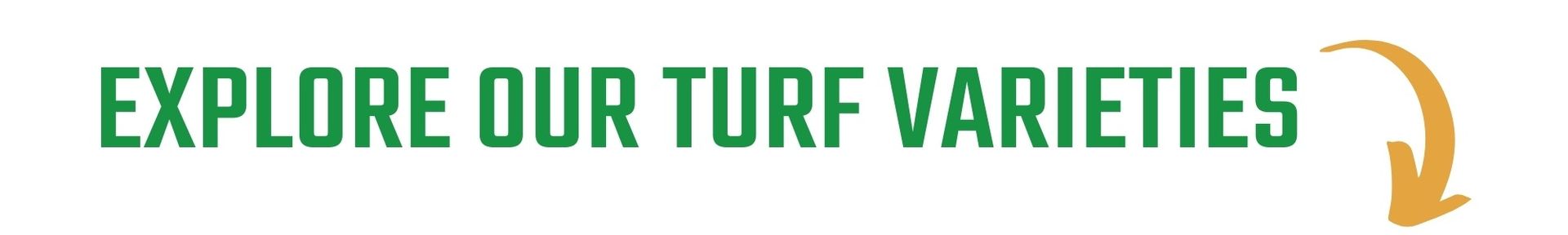 Explore our turf varieties with green text and a yellow arrow on a white background.