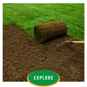 Lawn turf being rolled out over soil with a garden rake nearby and an “EXPLORE” button overlay