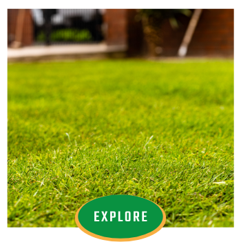 Green lawn with a centered “EXPLORE” button at the bottom.