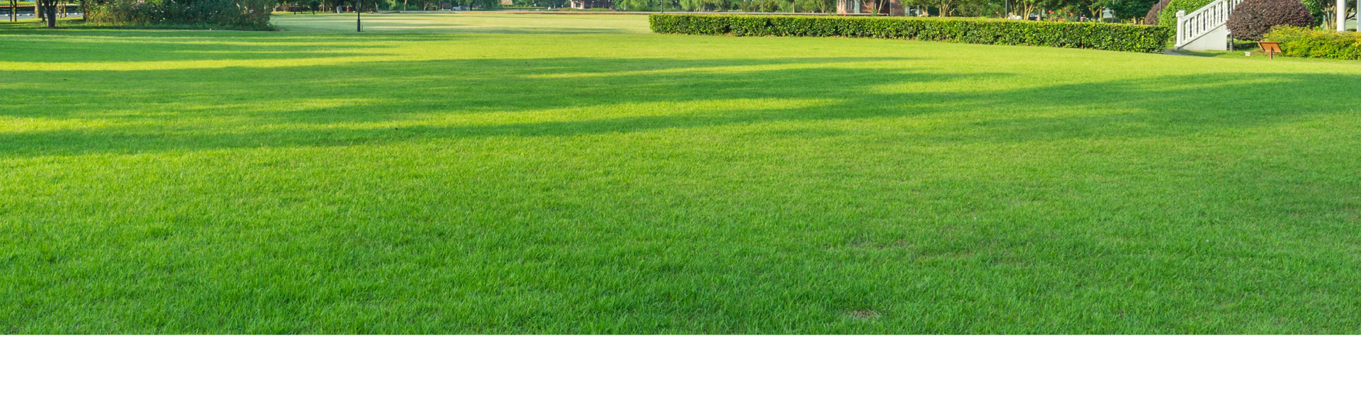Sunny green park lawn with a small white bench or sign in the distance under trees