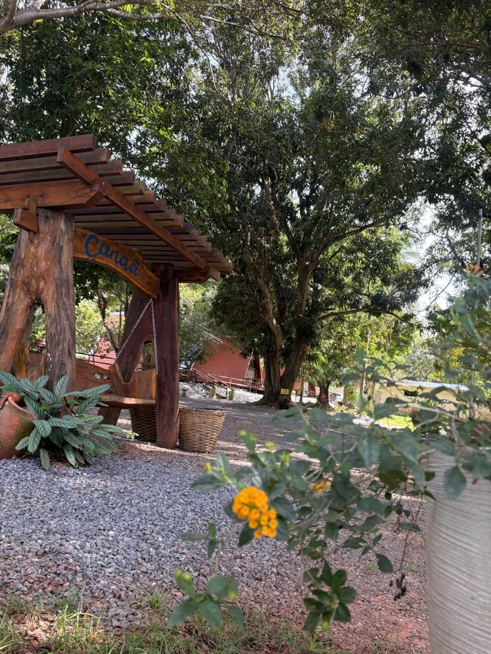 Pérgola de madeira em um jardim com árvores, cascalho e flores amarelas em primeiro plano.