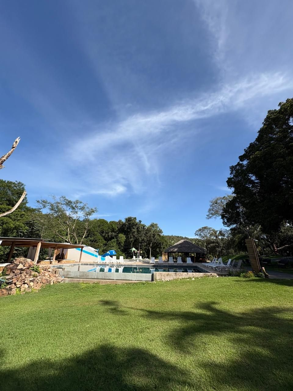 Quintal ensolarado com gramado, piscina, árvores e céu azul com nuvens esparsas.