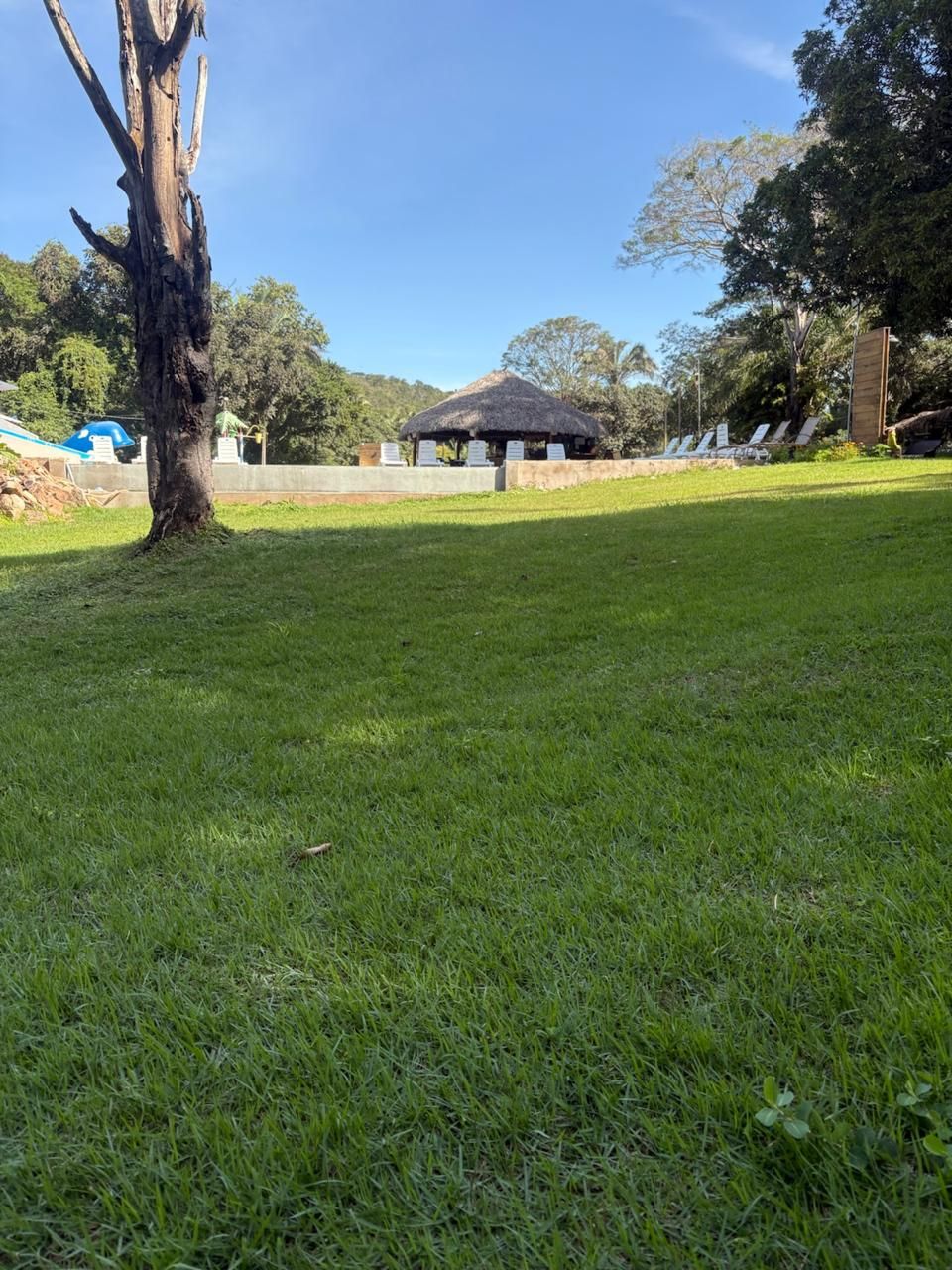 Gramado de parque com árvores e um pequeno pavilhão sob um céu azul.