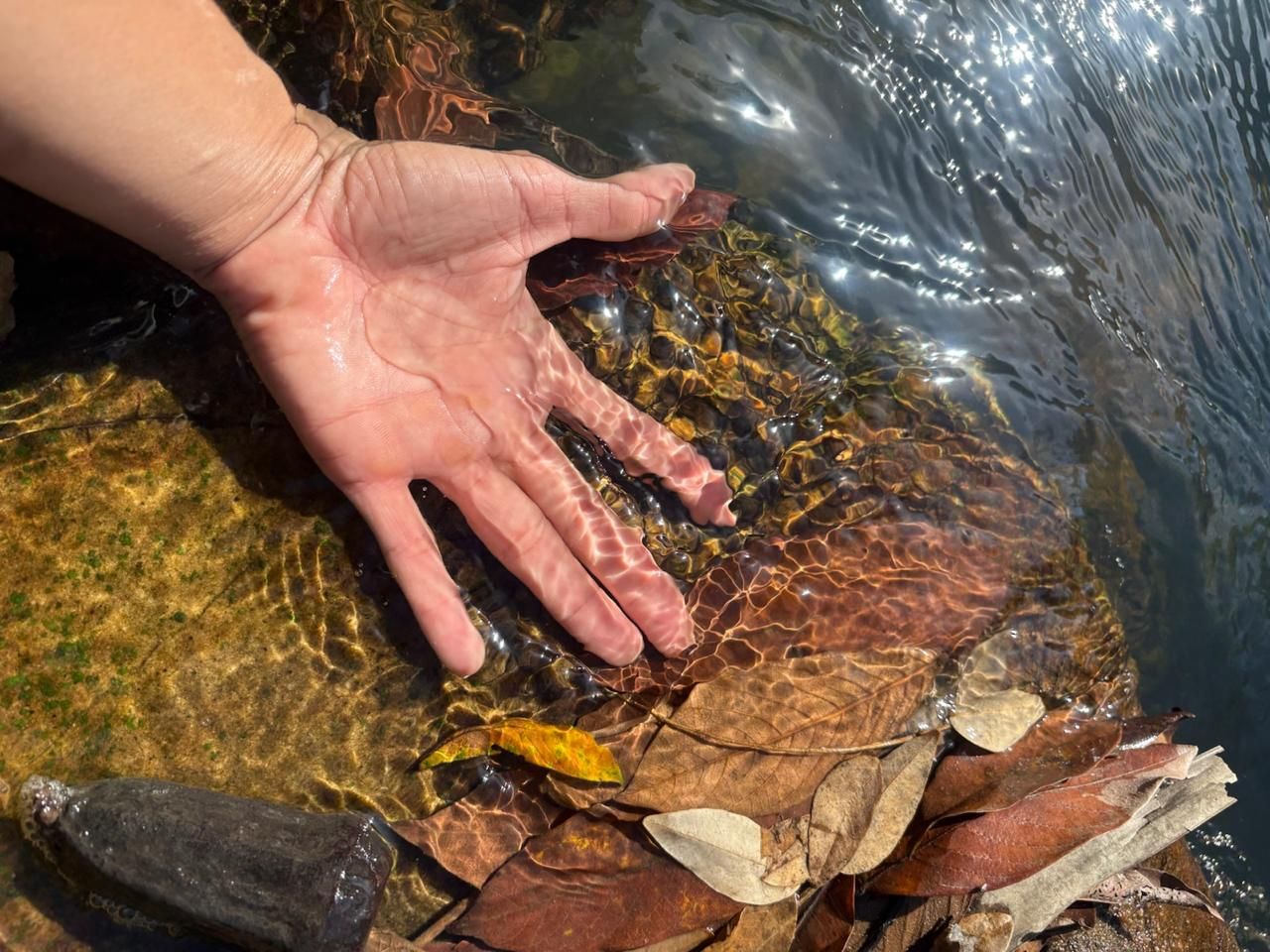 Mão na correnteza rasa sobre pedras, folhas e água cristalina com reflexos da luz do sol.
