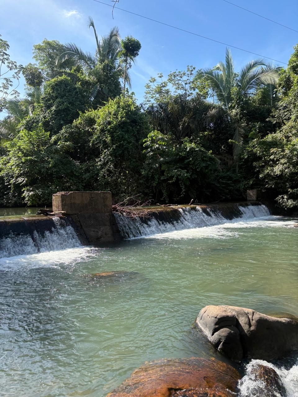 Pequena cachoeira que deságua em um rio verde sob um céu azul brilhante, cercada por árvores densas.