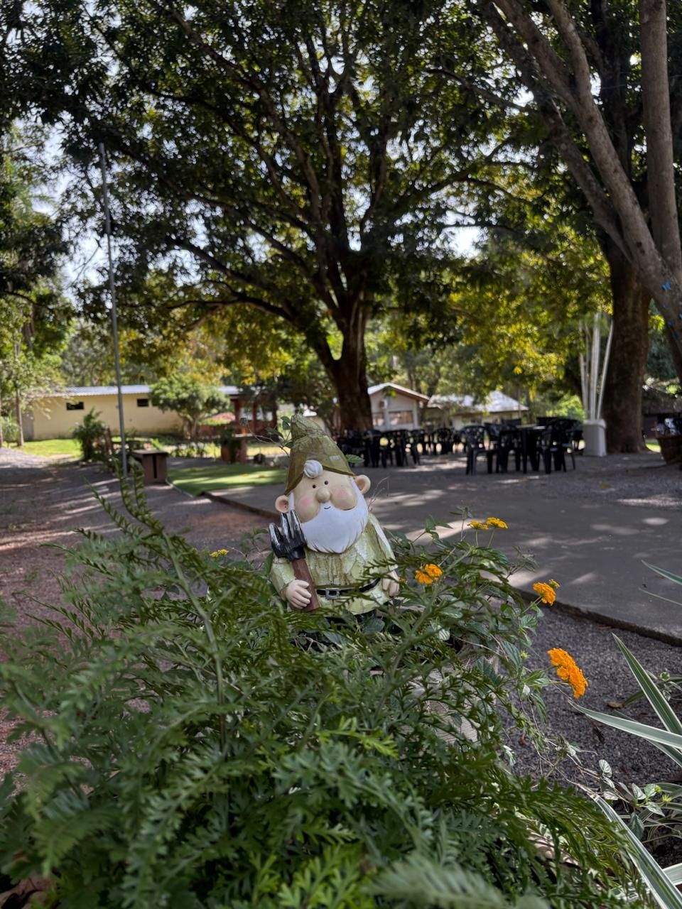 Pequeno vaso de cerâmica em forma de vaca entre flores laranjas em um parque sombreado com árvores e mesas de piquenique.