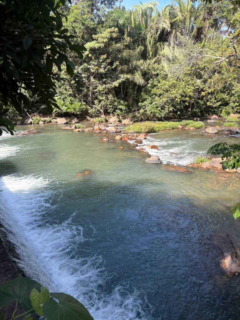 Rio cristalino com uma pequena cachoeira que atravessa uma exuberante floresta verde sob a luz do sol.