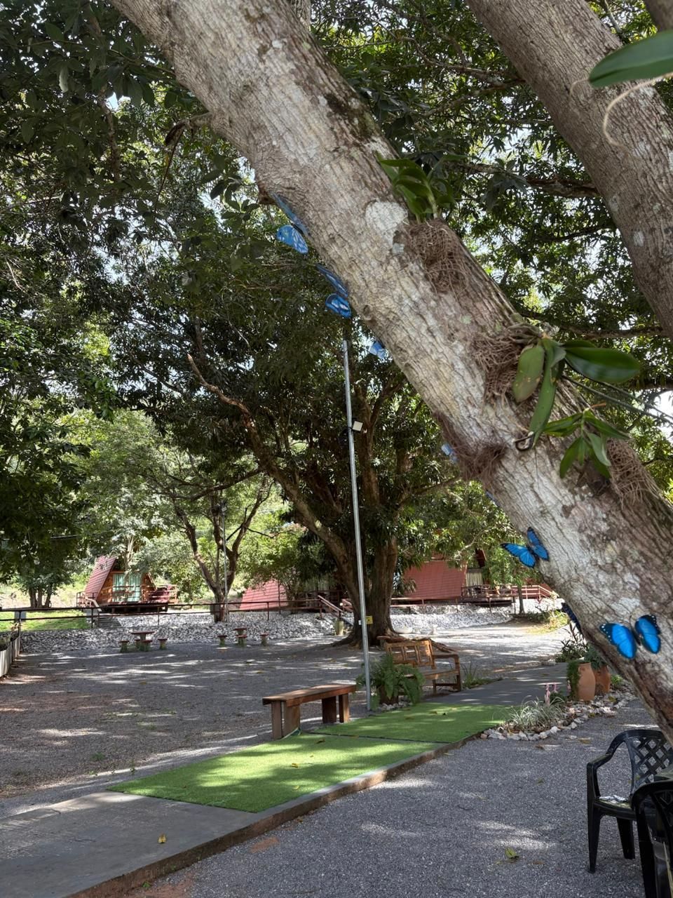 Parque sombreado com árvores grandes, um banco e um balanço de corda pendurado sobre cascalho e grama.
