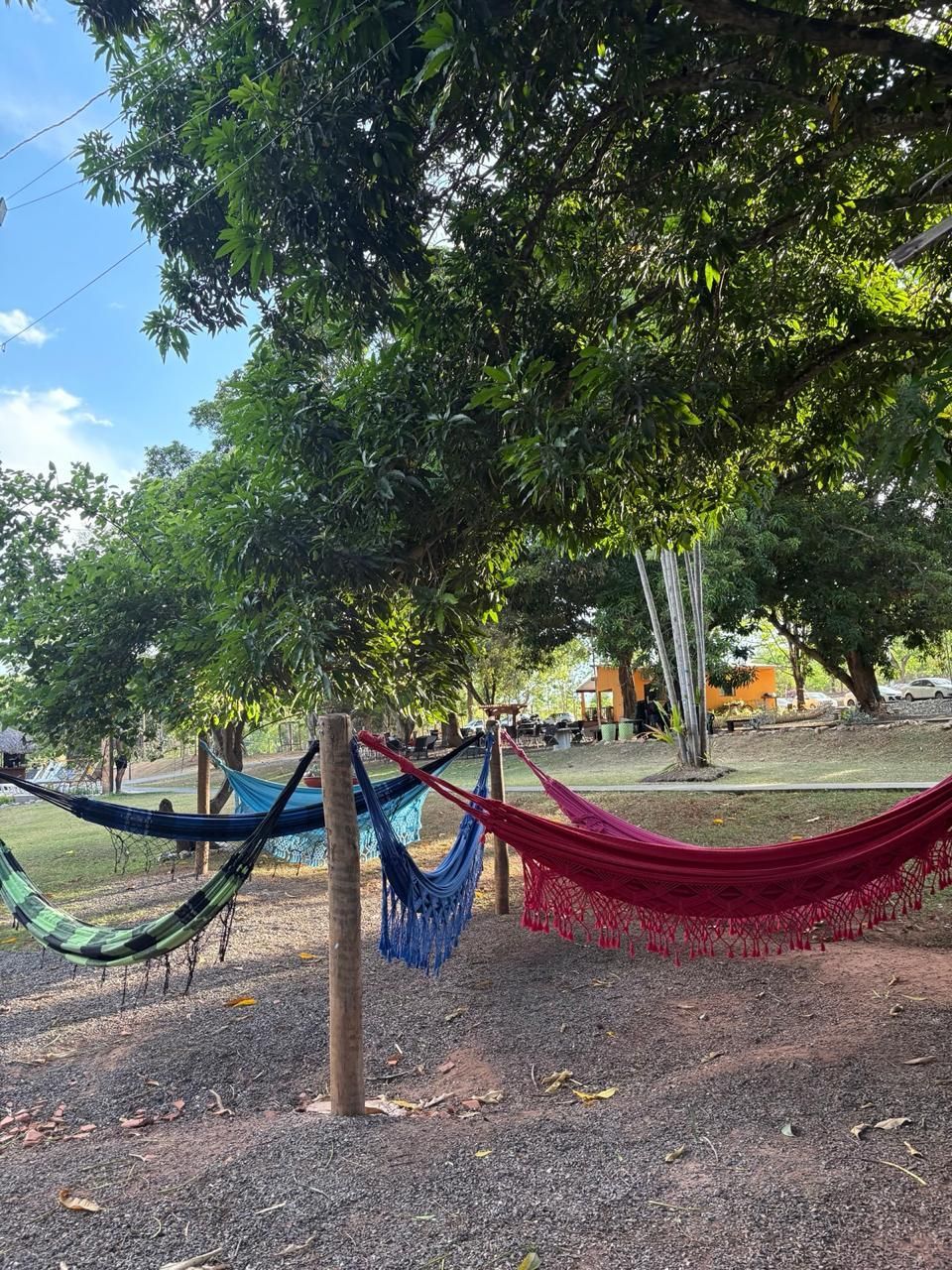 Duas redes coloridas penduradas em um poste de madeira em um parque sombreado sob árvores.