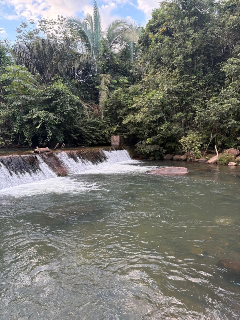 Pequena cachoeira que deságua em uma piscina tranquila, cercada por densas árvores tropicais verdes.