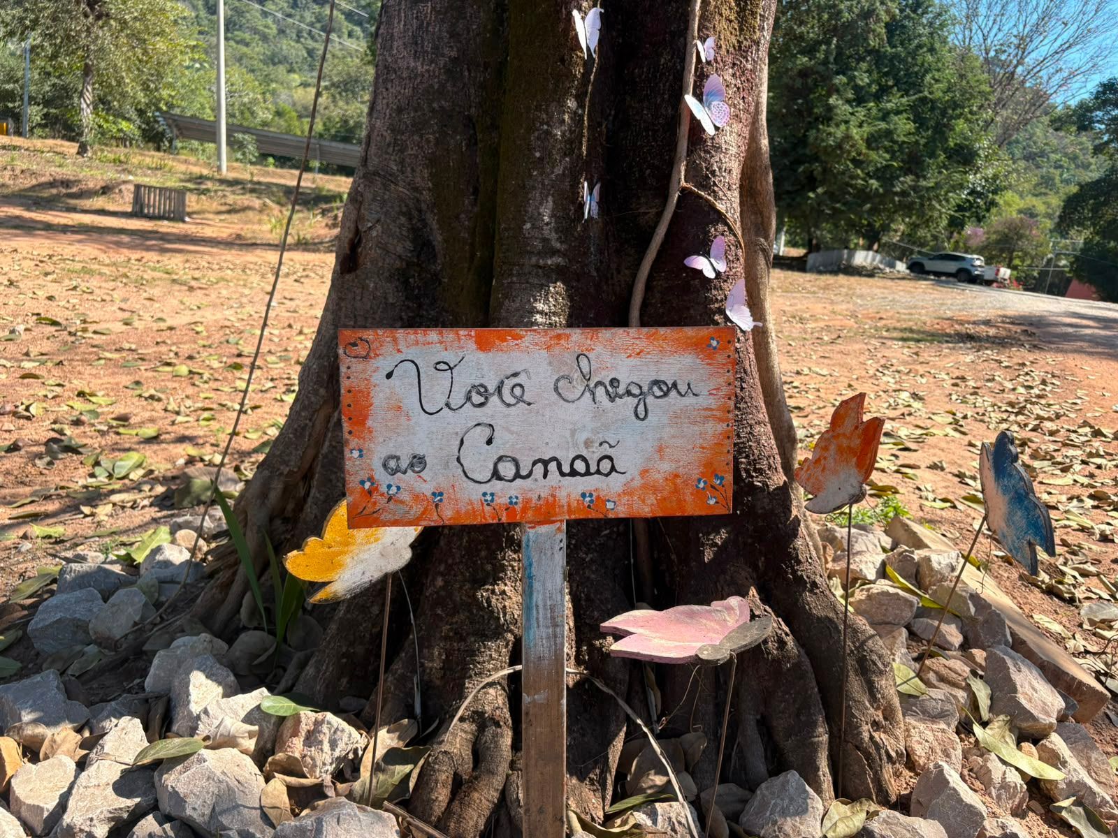 Uma placa no tronco de uma árvore, entre as rochas, diz: 