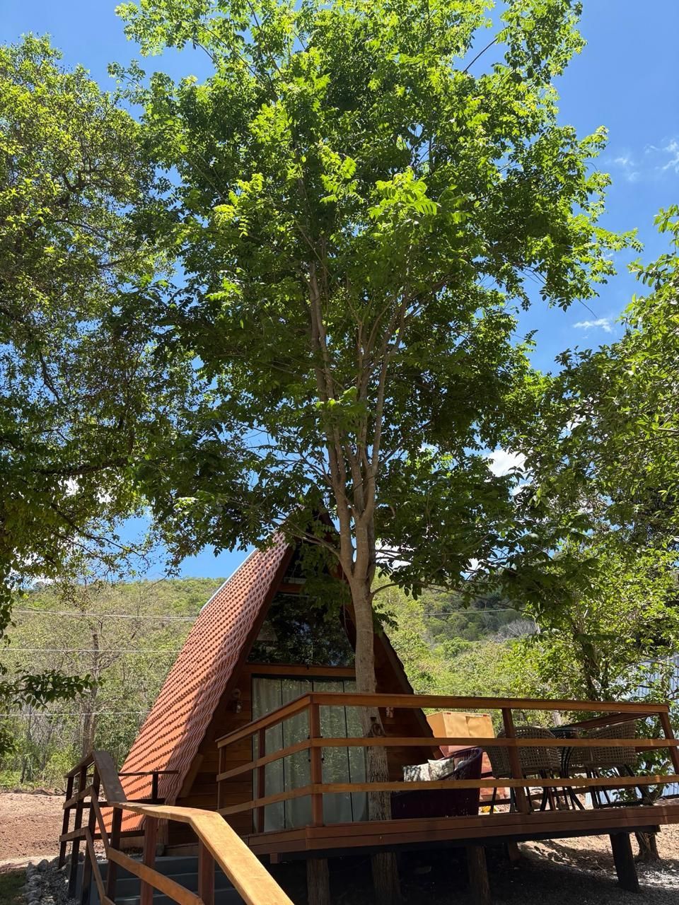 Uma pequena cabana em forma de A com um deck de madeira sob uma grande árvore frondosa, sob um céu azul brilhante.